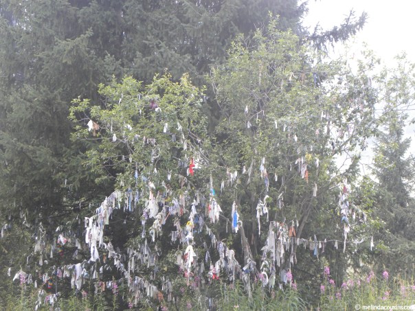A tree tied with ribbons to represent prayers, luck, hopes (depending who you ask)