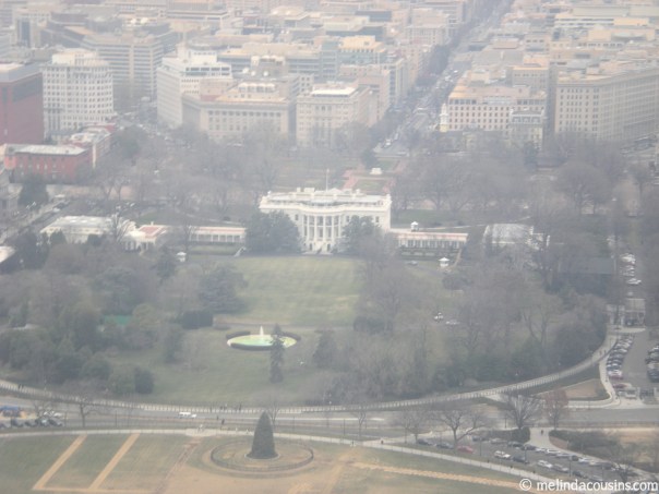 View of the White House from the Washington Monument